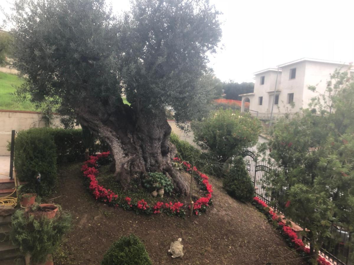 B&B Rosa Dei Venti Roseto Capo Spulico Εξωτερικό φωτογραφία