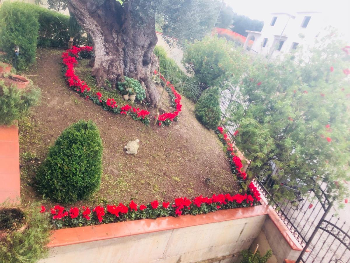B&B Rosa Dei Venti Roseto Capo Spulico Εξωτερικό φωτογραφία