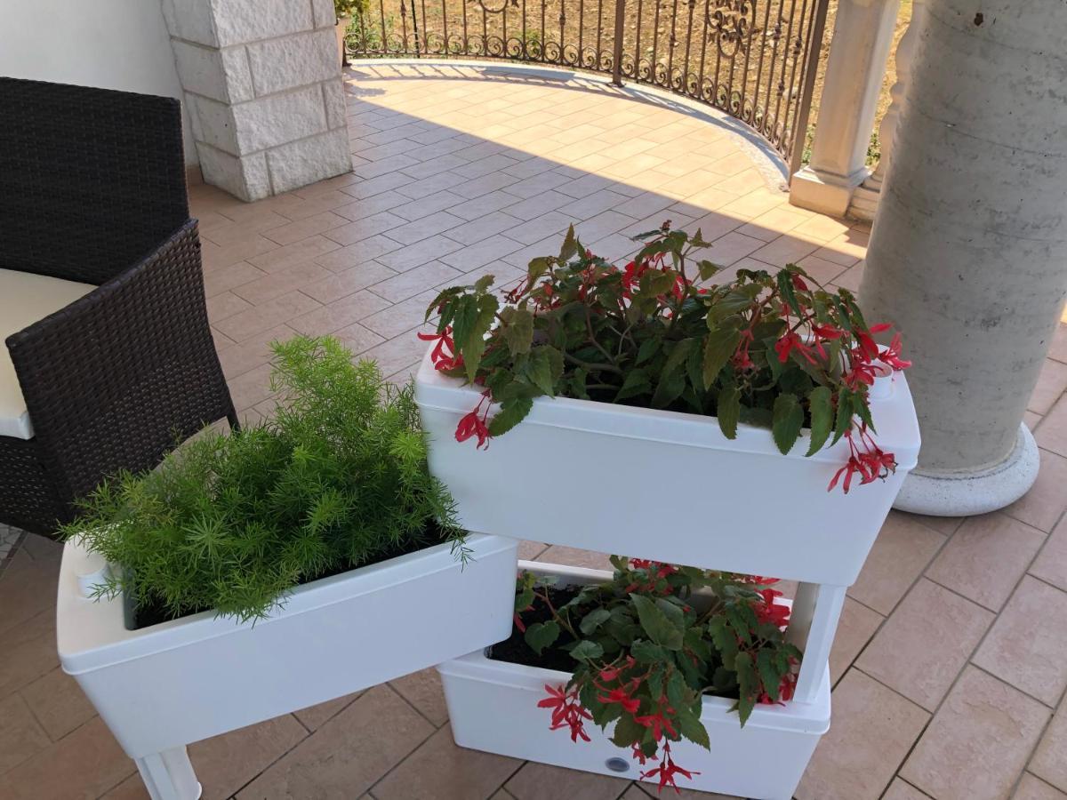 B&B Rosa Dei Venti Roseto Capo Spulico Εξωτερικό φωτογραφία